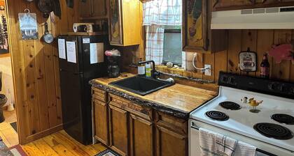 Cozy 2-bedroom cabin in awesome Blairsville with ac and wifi.