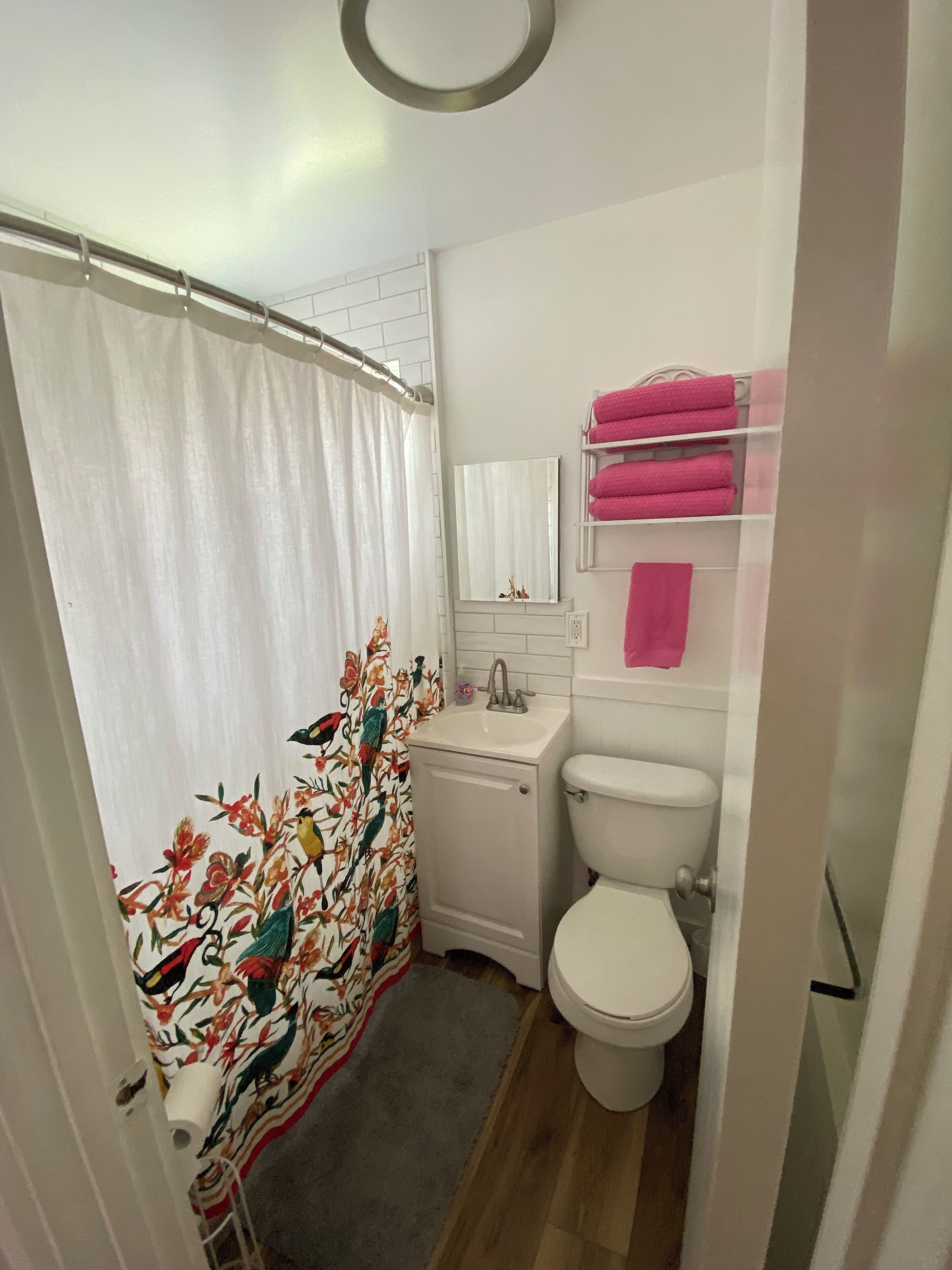 Secador de cabelo, toalhas de banho, sabonete, papel higiênico