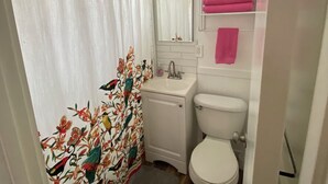 Une salle de bain avec un rideau de douche, un lavabo, des toilettes et un miroir.