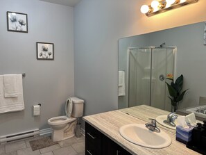 Suihku, hiustenkuivaaja, pyyhkeet, saippua