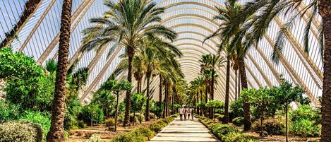 アパートメント | 3 室のベッドルーム