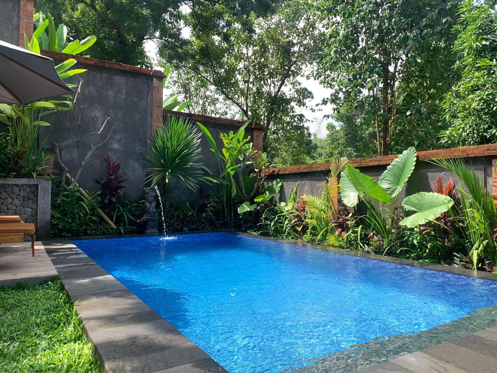 A swimming pool surrounded by lush greenery and a stone wall.
