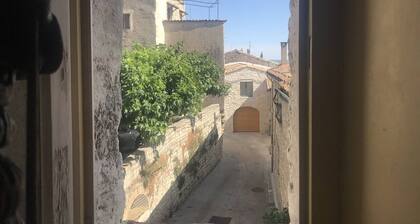 La maison sous les horts