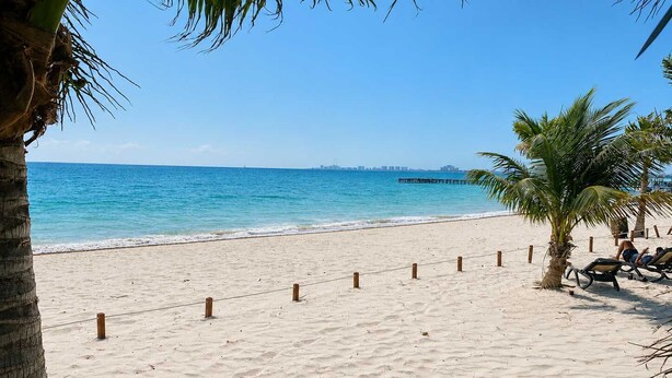 A beach with lounge chairs and a palm tree, a clear sky, and the ocean. - Beachfront 3BR - Ocean View - 70m Pool - Cancun (Cancún)