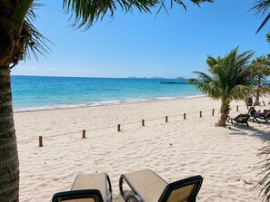 A beach with lounge chairs and a palm tree, a clear sky, and the ocean.