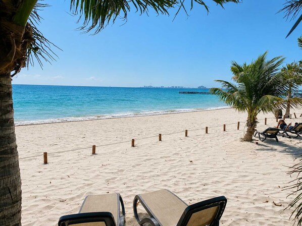 A beach with lounge chairs and a palm tree, a clear sky, and the ocean.