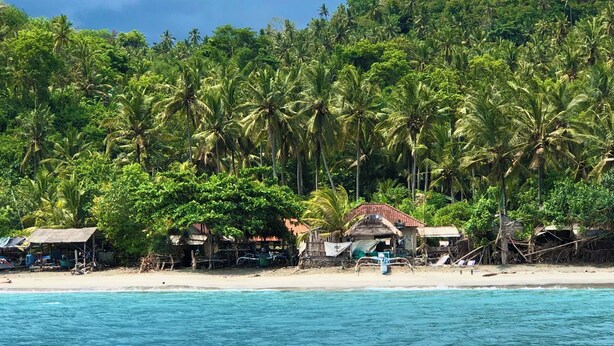 Ein Strand mit klarem türkisblauem Wasser, Palmen und einer hügeligen Kulisse.