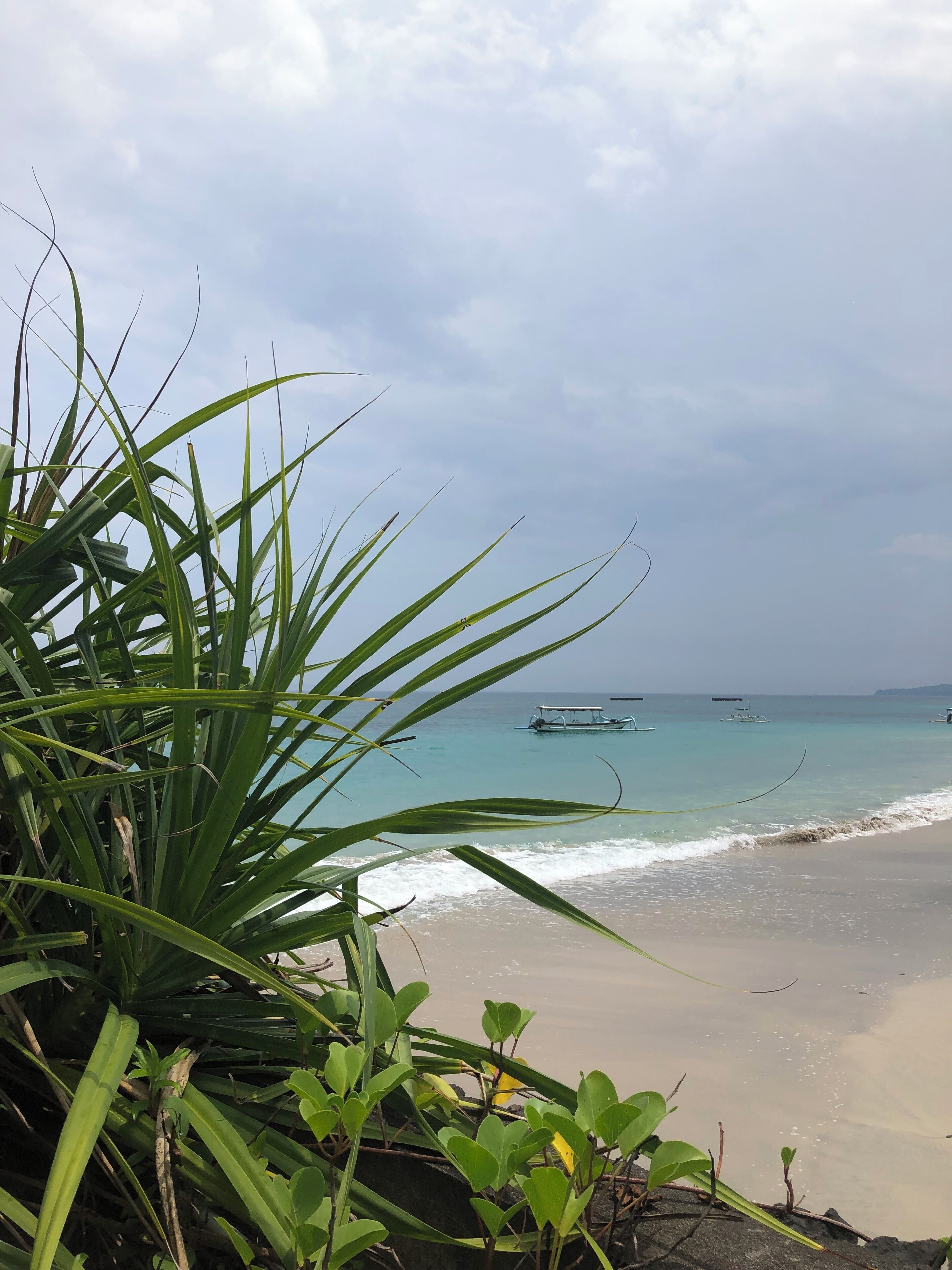 A beach with clear turquoise water, boats in the distance, and lush greenery in the foreground.