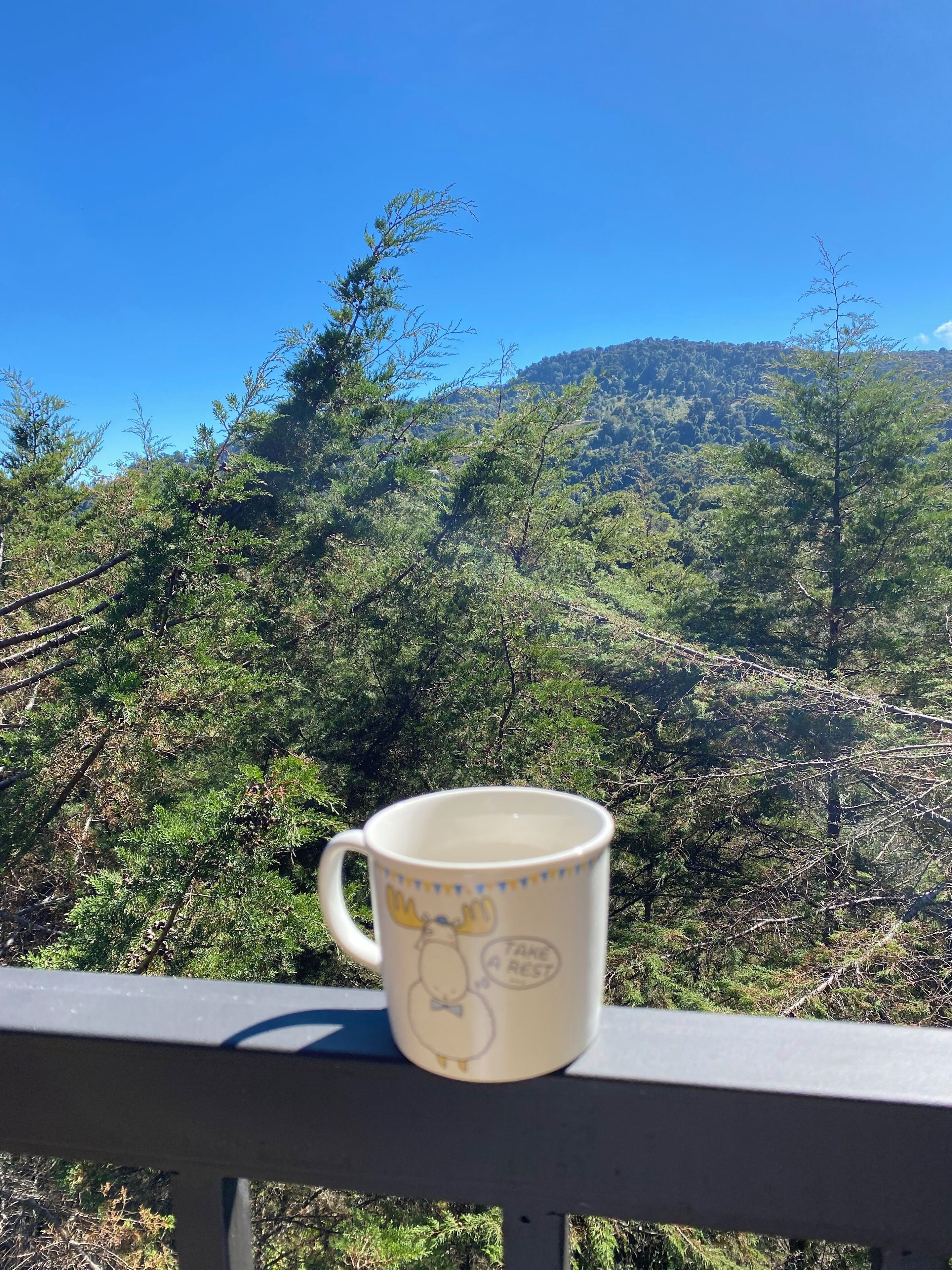 A mug on a railing with a mountainous landscape in the background.