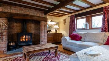 Smart TV, fireplace, books