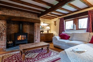 Smart TV, fireplace, books