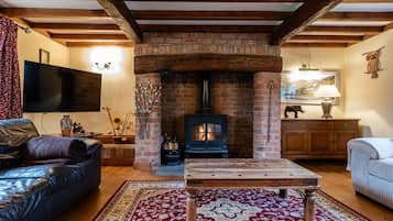 TV connectée, cheminée, livres