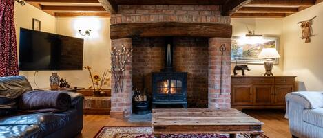 Smart TV, fireplace, books