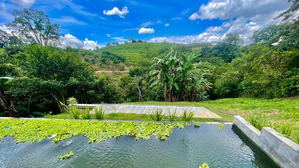 A serene outdoor water feature with a concrete edge, surrounded by lush greenery and trees. - Mountain view dome, pet friendly, trails and near Poas Volcano. (Carrizal)