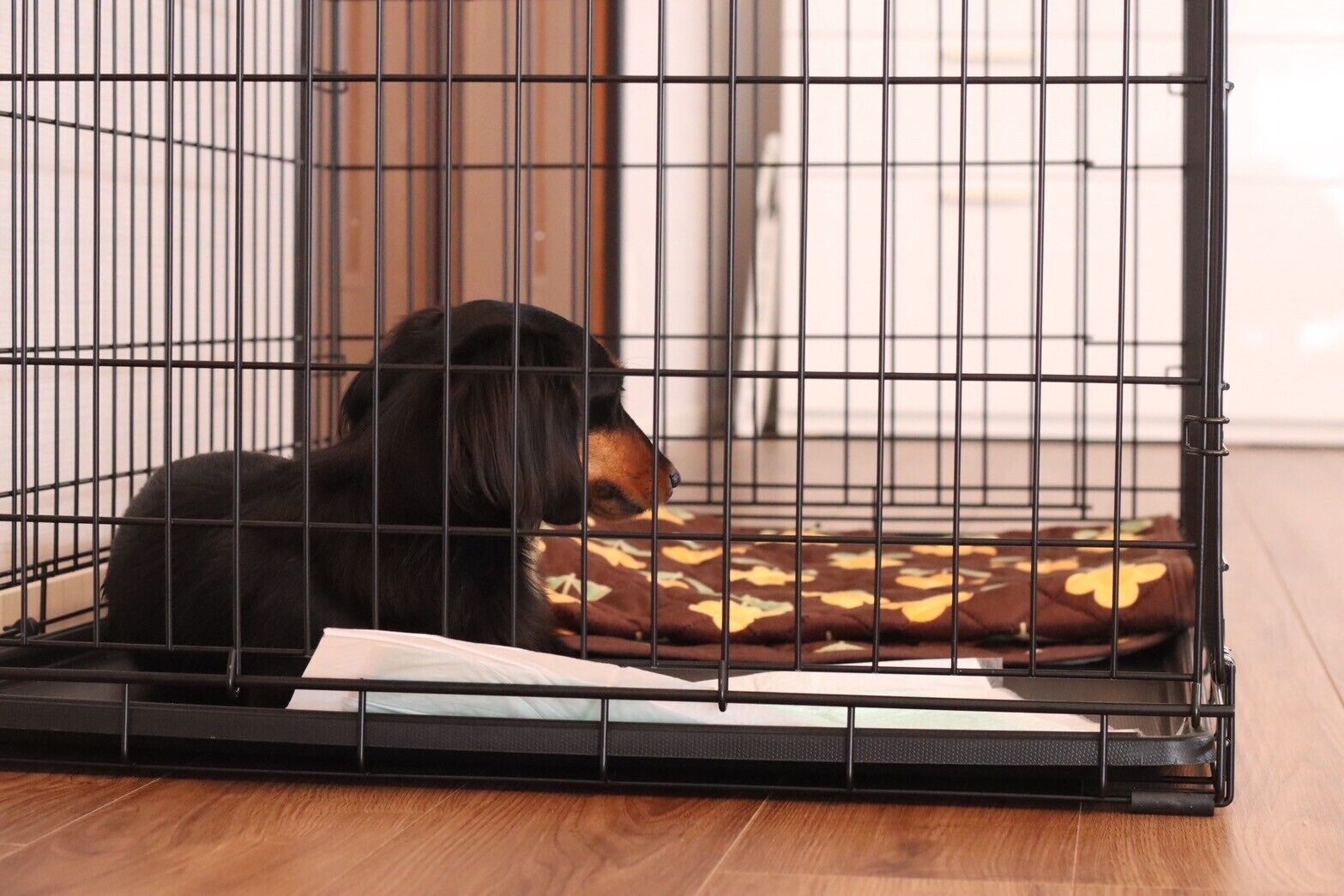 A dog inside a metal crate with a brown cushion.
