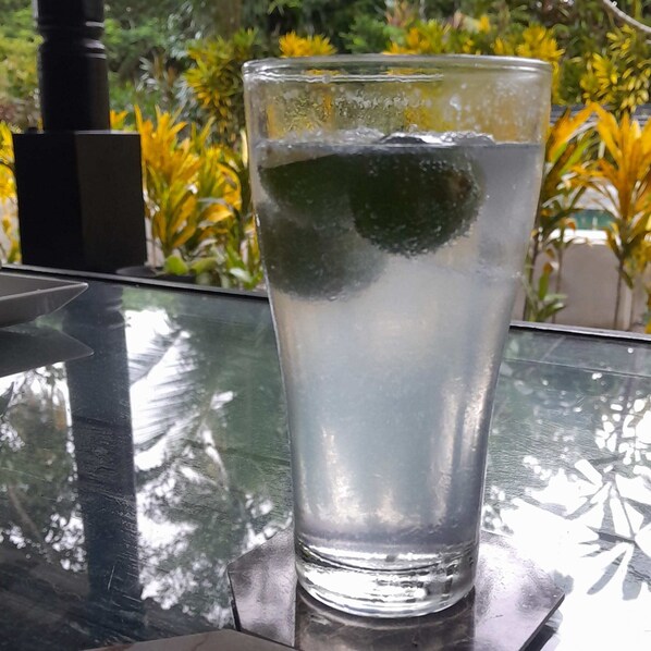 华丽双人房, 花园景观 | 露台