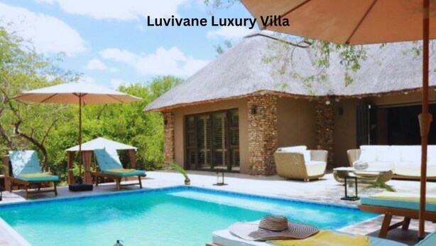Zona de piscina con sillones de descanso y sombrillas en Luvivane Luxury Villa.