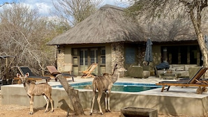 A thatched-roof building with outdoor seating and a pool.