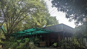 A building with a green roof and multiple potted plants around it.
