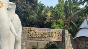 Un cartel con texto en un alfabeto no latino, una estatua de elefante blanco y un edificio de fachada de piedra.
