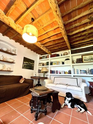 Smart TV, books - Podere il Piantoneto (Toscana)