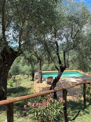 A wooden deck with a pool, surrounded by olive trees and greenery. - Podere il Piantoneto (Toscana)