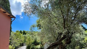 A stone pathway leading to a rustic outdoor seating area with a bench, surrounded by lush greenery and a tree.