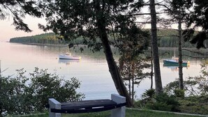 Uklassifisert bilde, 5 av 16, knapp