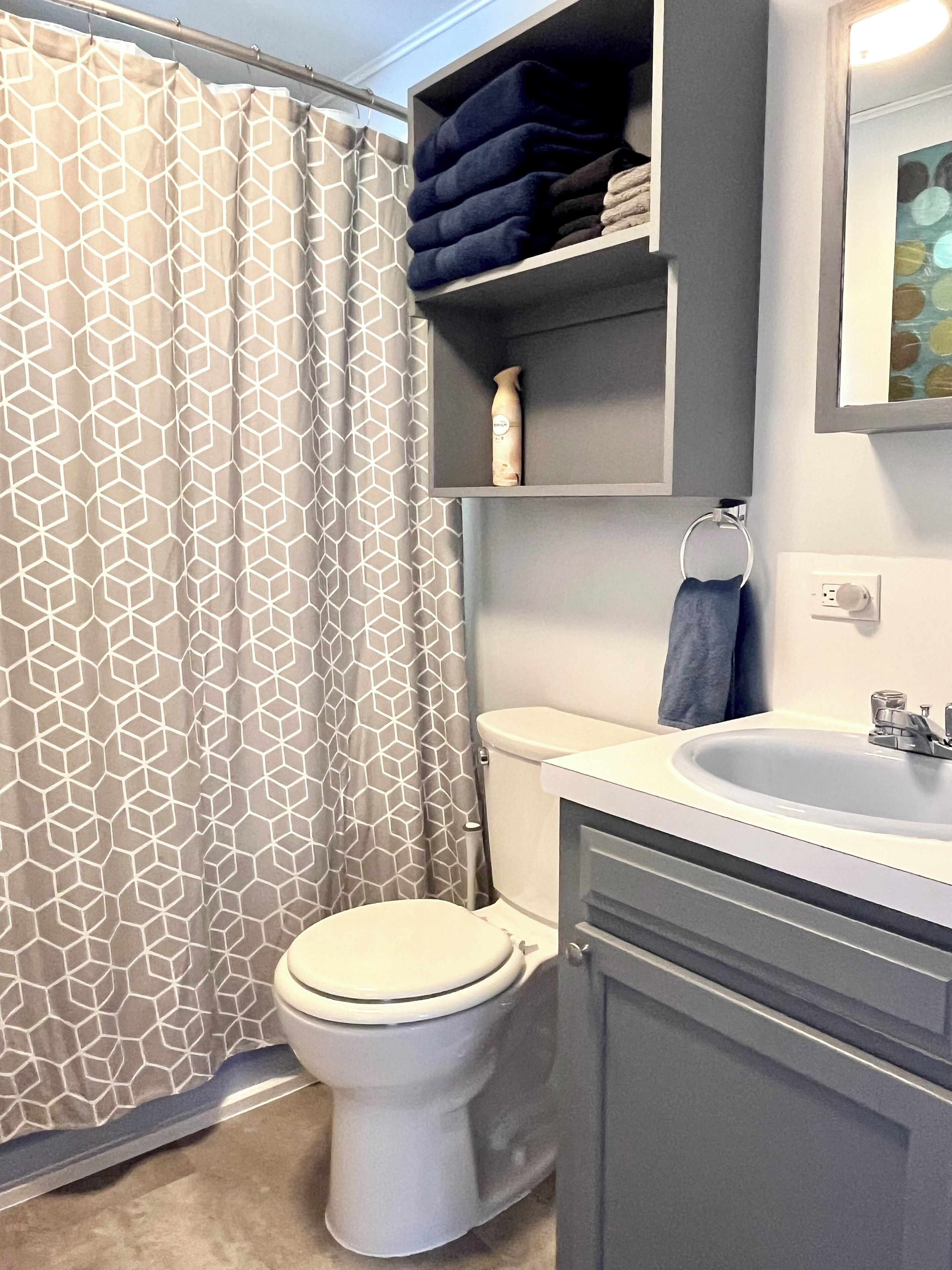 Hair dryer, towels, soap, toilet paper