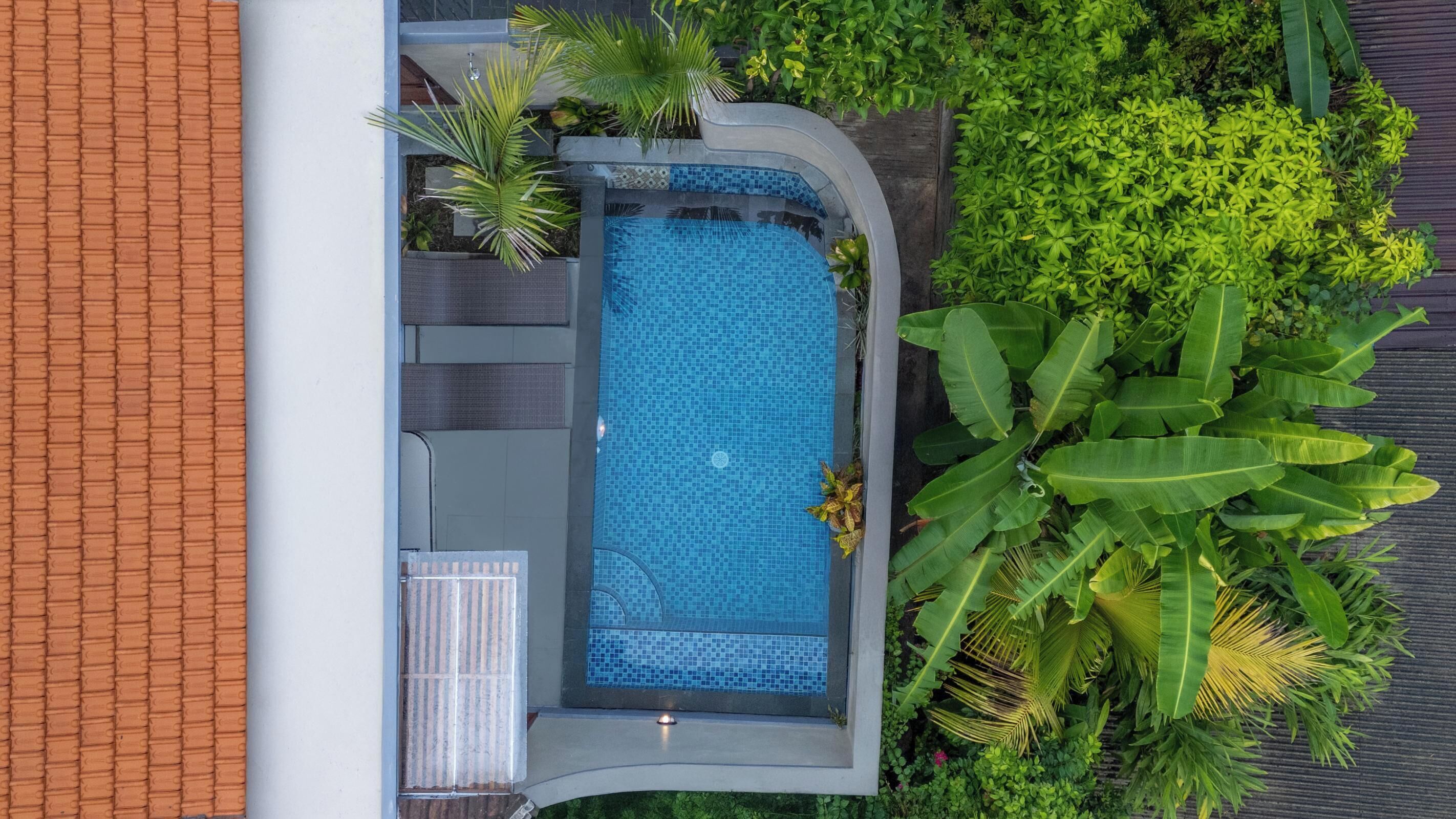 Ein Pool auf dem Dach mit Fliesenboden, umgeben von üppiger Bepflanzung und einer Ziegelmauer.