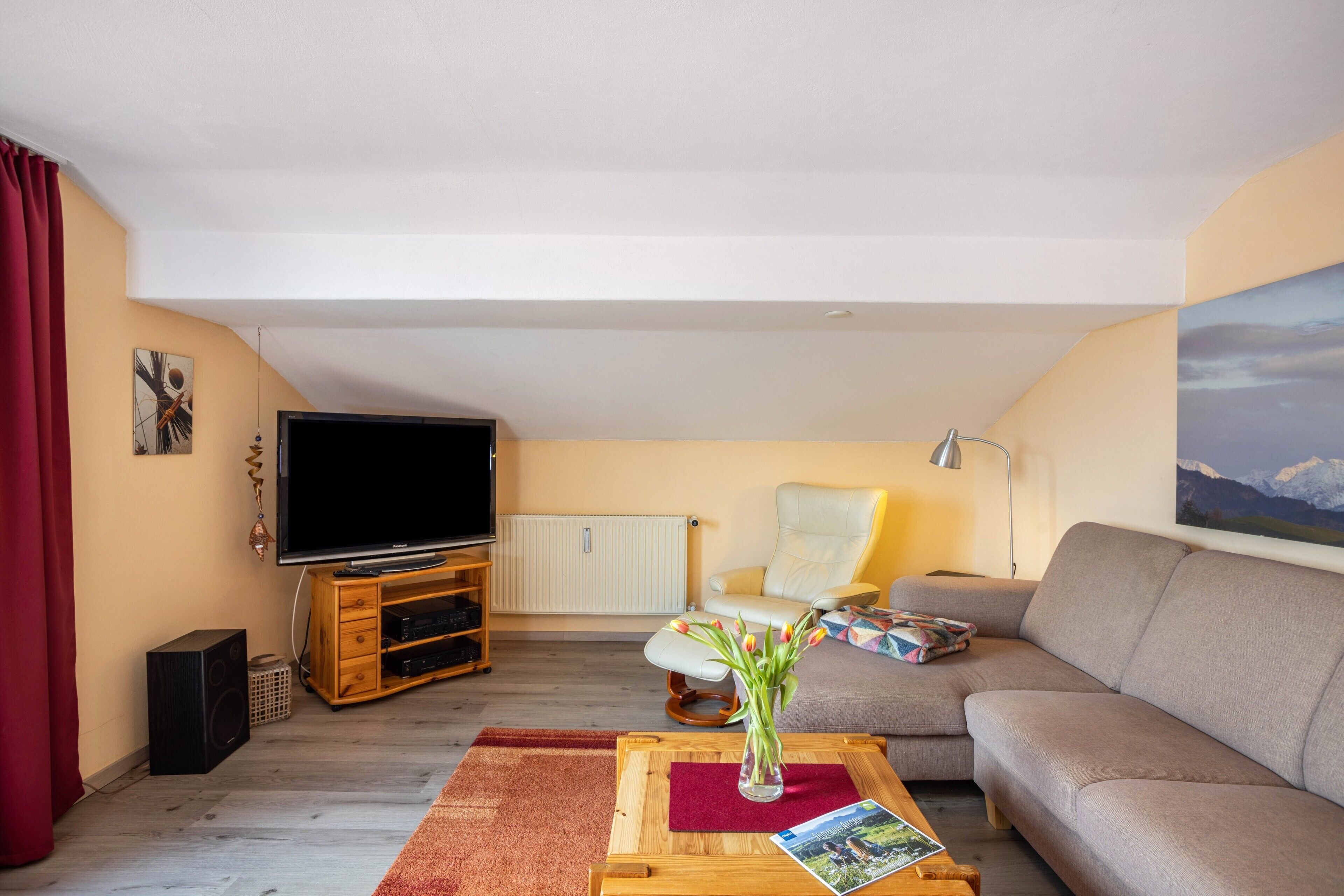 Fernseher