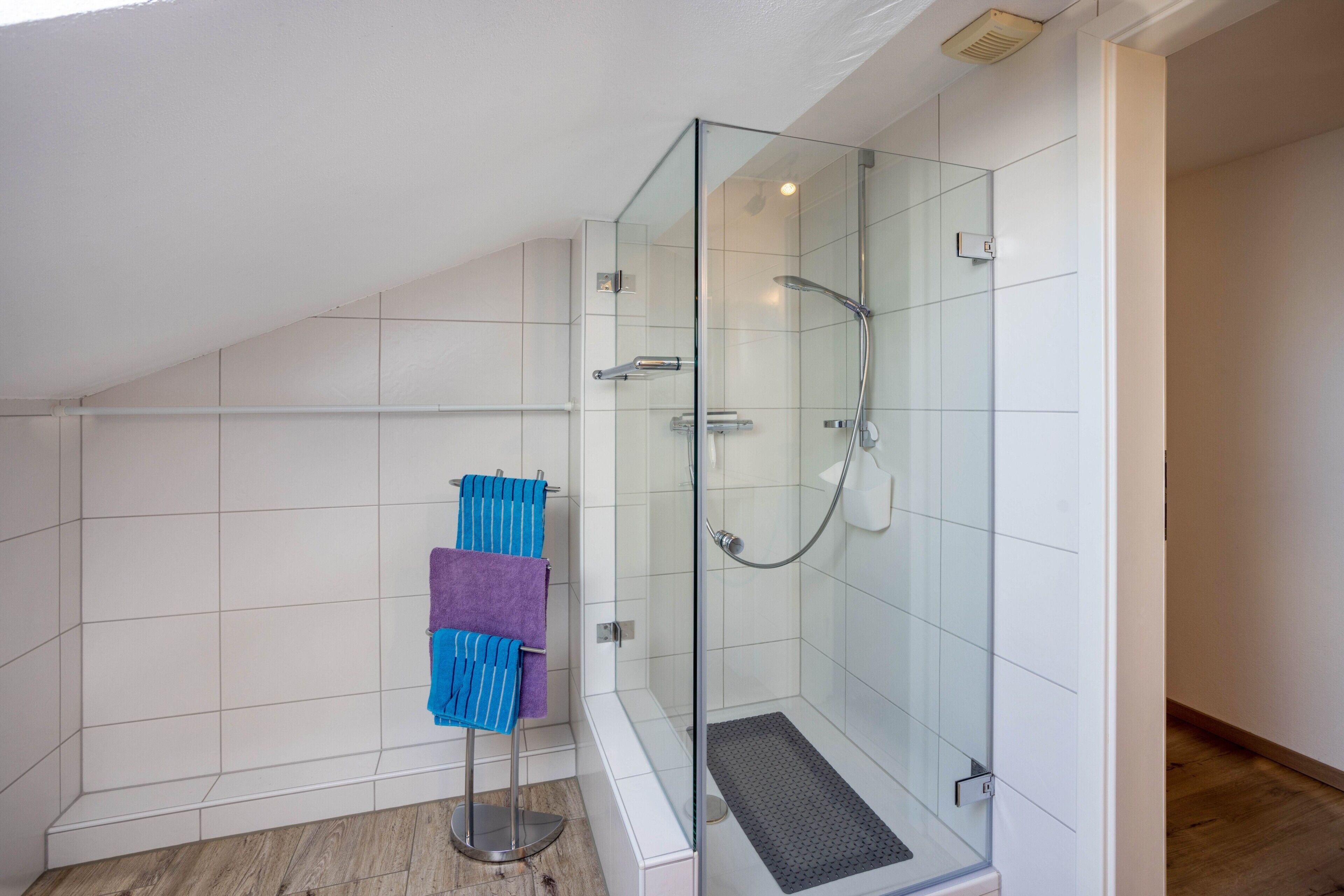 Shower, hair dryer, towels
