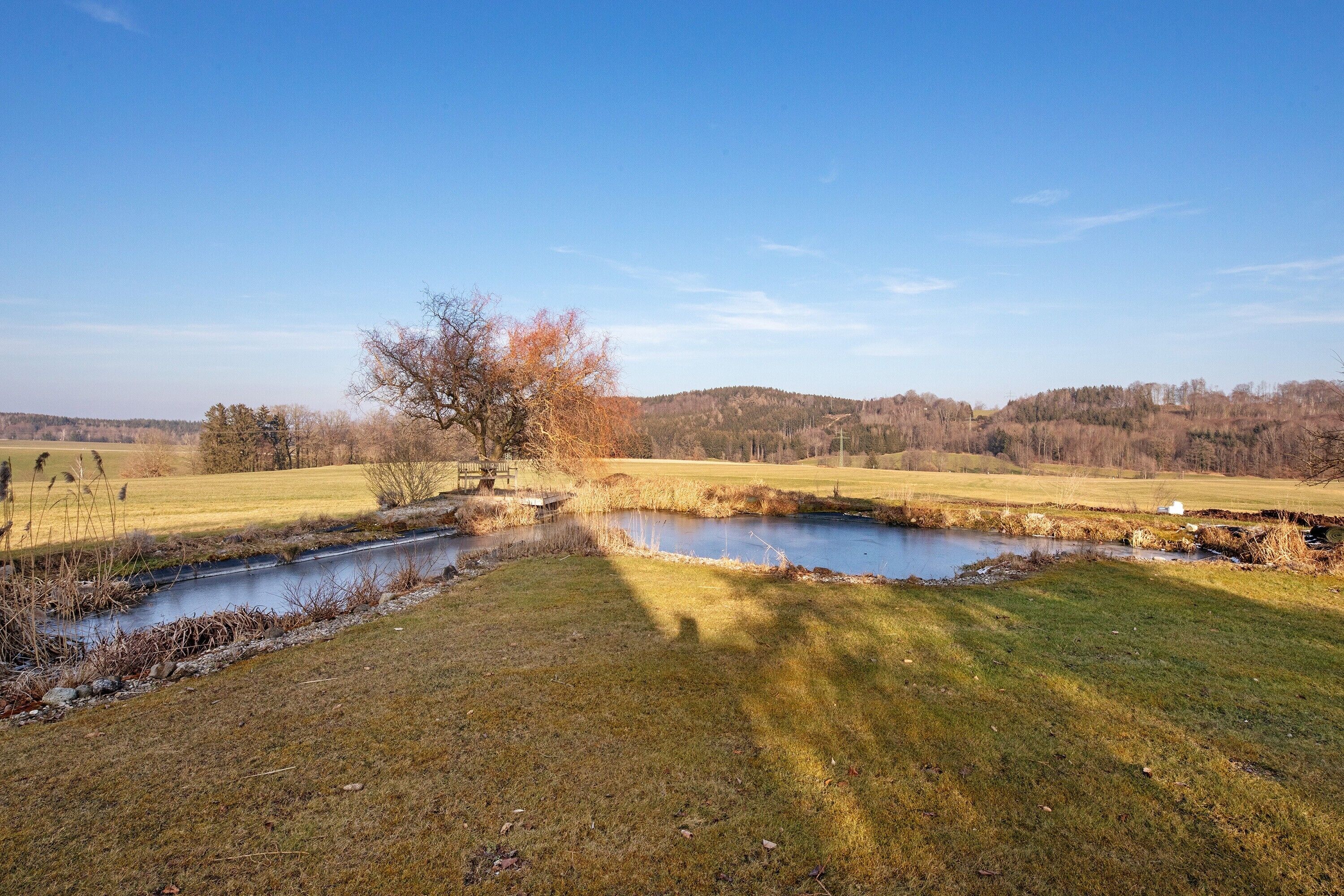 Een landelijk landschap met een klein vijvertje, grasvelden en een kale boom.