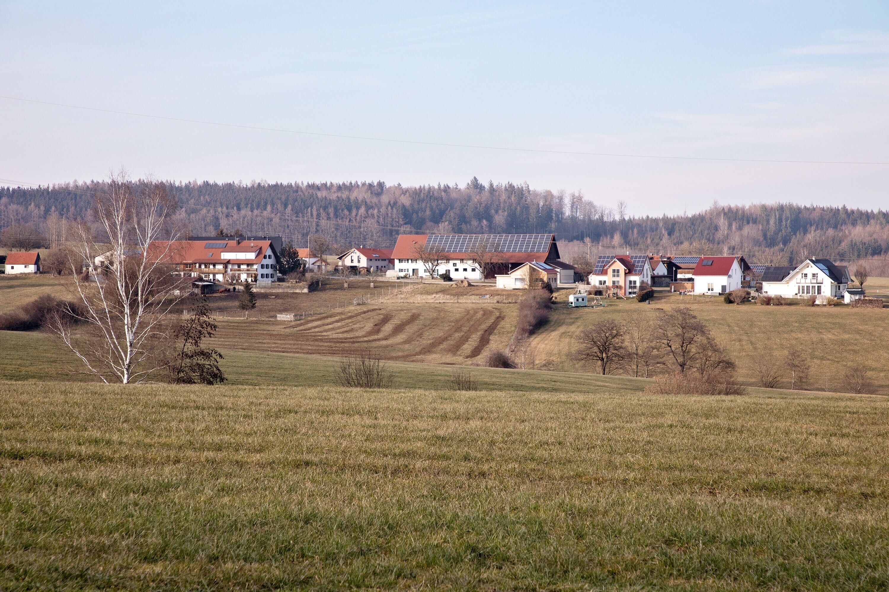 Een landelijk landschap met huizen, een veld en een bos op de achtergrond.