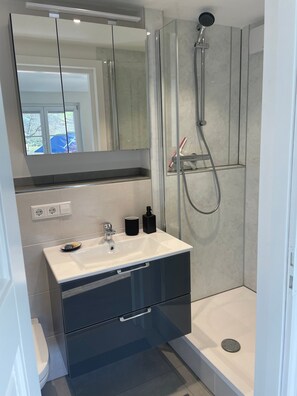 Shower, hair dryer, towels