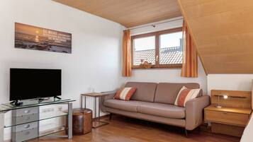 Fernseher, Stereoanlage
