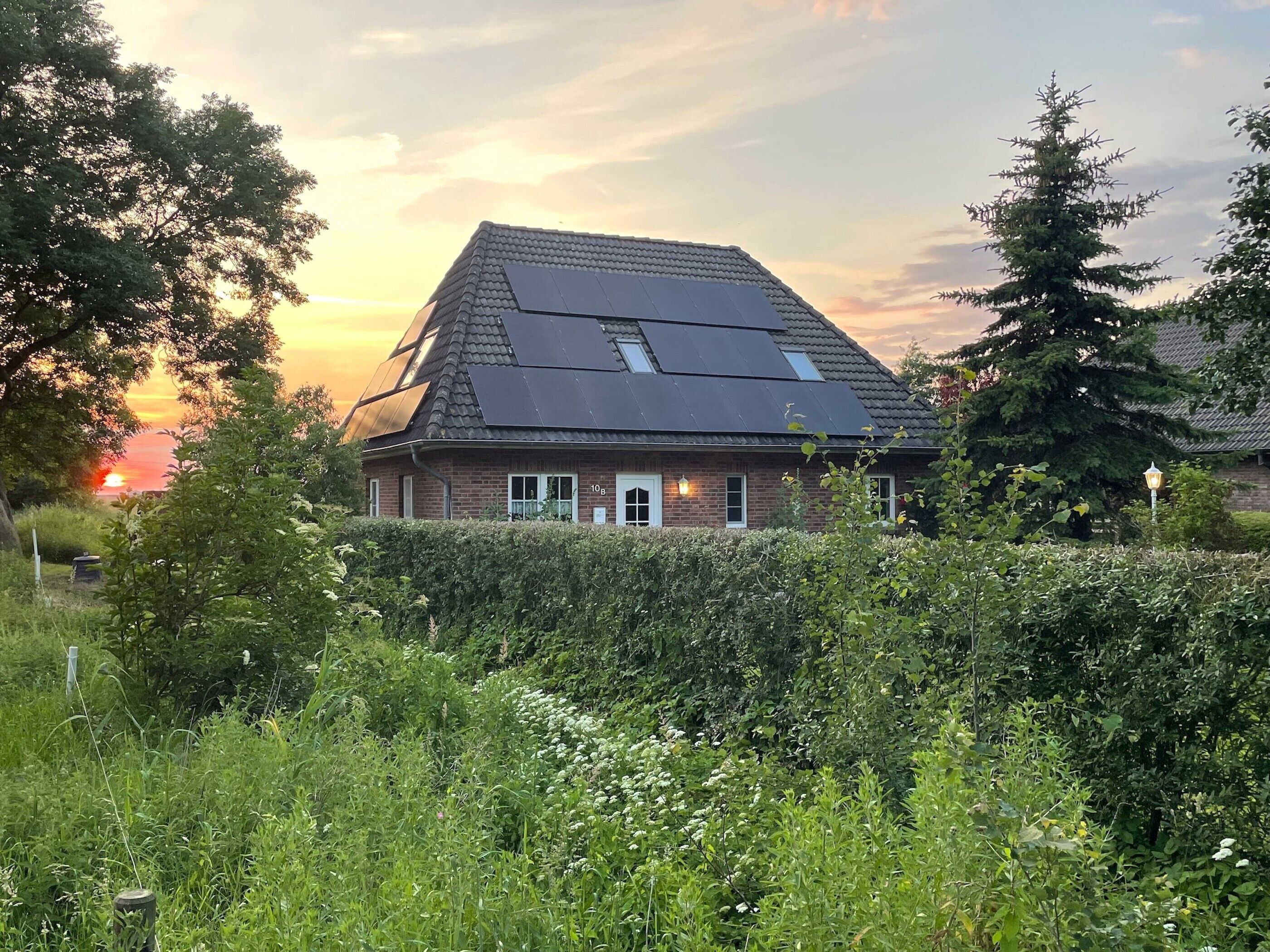A house with a sloped roof, solar panels, and a hedge in the foreground.