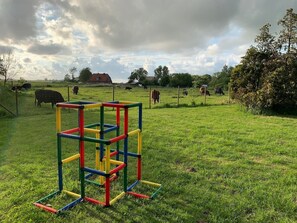 Un champ verdoyant avec une aire de jeux colorée et des vaches en arrière-plan.