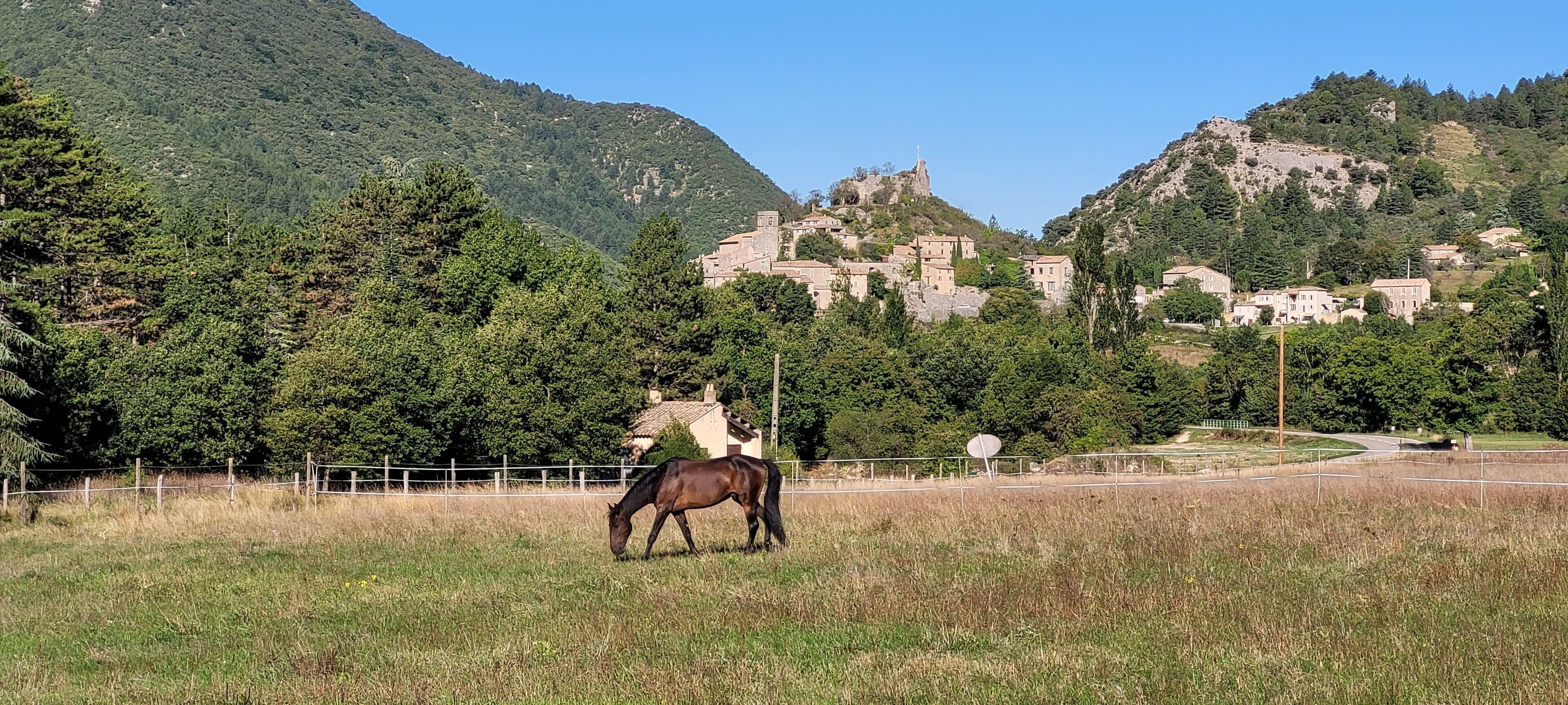 A horse grazing in a field with a mountainous backdrop and a village.