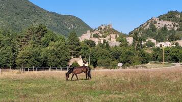 A horse grazing in a field with a mountainous backdrop and a village.