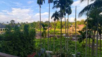 A view of a lush garden with tall palm trees, a water body, and a building in the background.