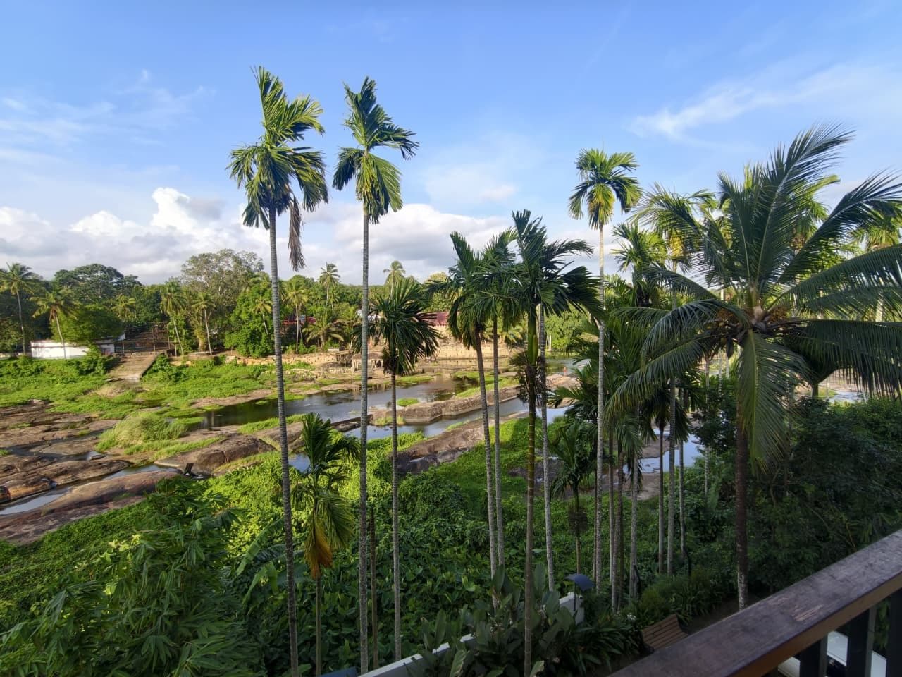 Un paisaje exuberante con palmeras y un río.