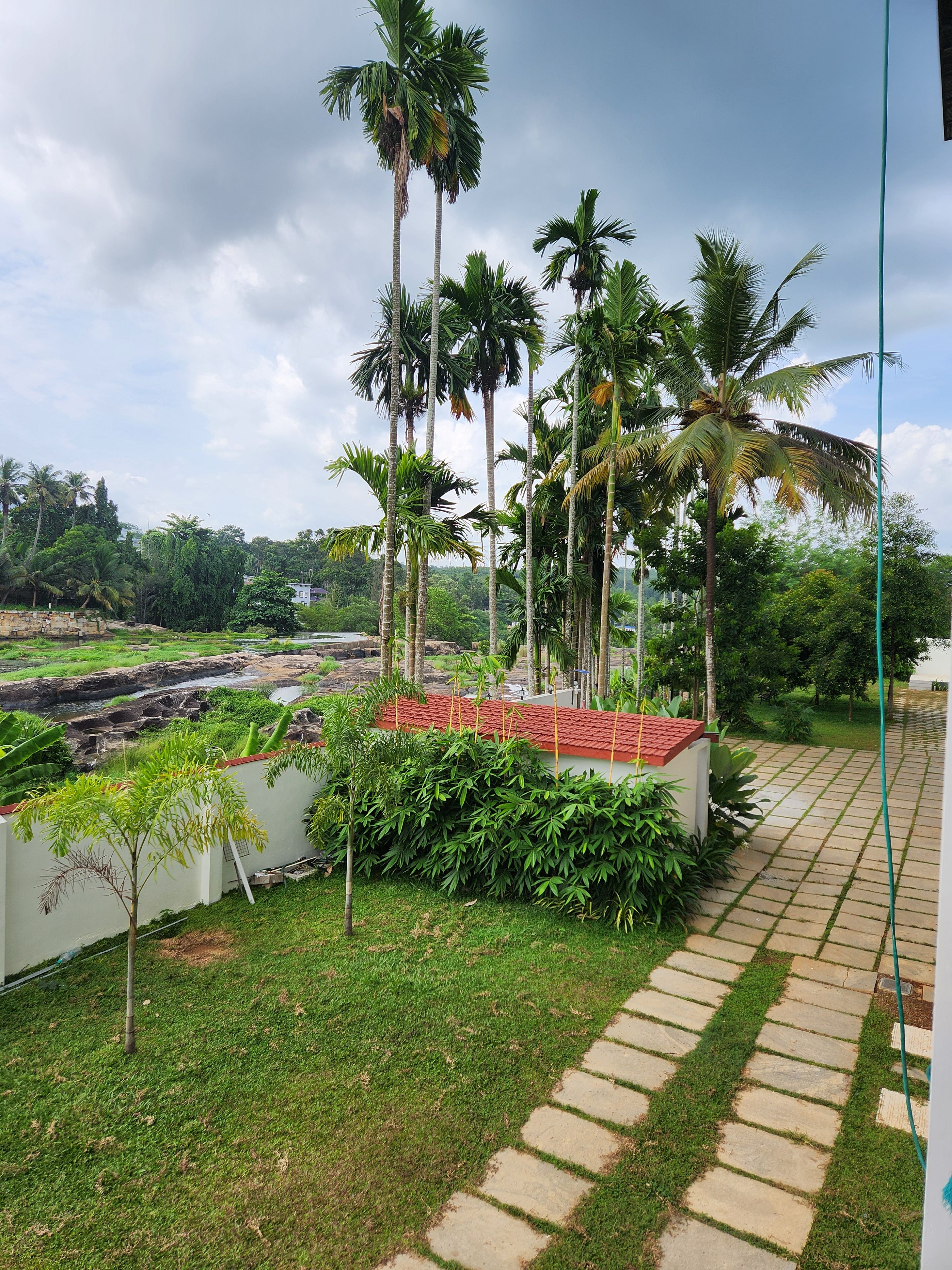 A landscaped garden with palm trees, a pathway, and a view of a river.