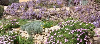 On the heights of Ollioules Semi-detached house Exceptional view