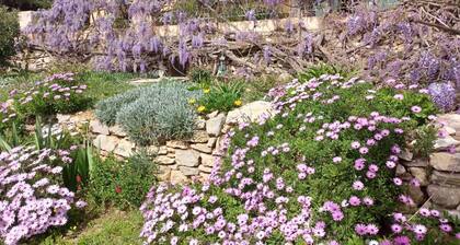 Sur les hauteurs d'Ollioules Maison mitoyenne vue Exceptionnelle
