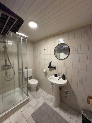 Shower, hair dryer, towels, soap - Modern serviced apartment / apartment Franken Idyll (Pfofeld)