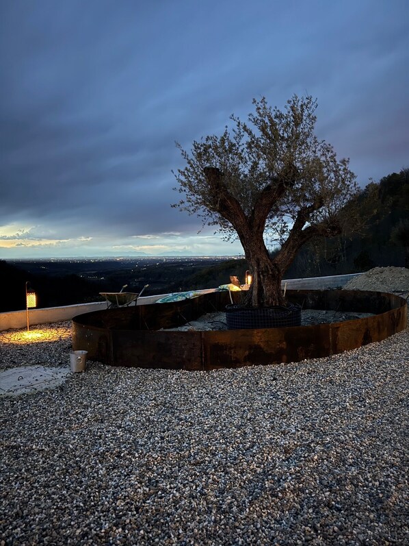 A tree in a circular planter with a gravel ground, surrounded by a metal railing.
