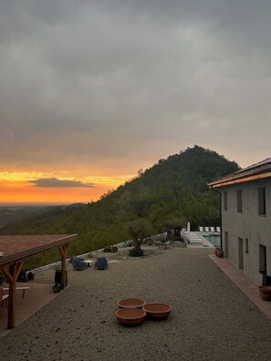 تناول الطعام بالخارج