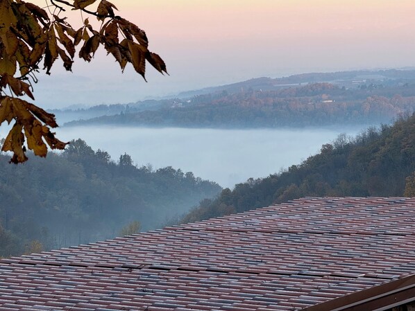 A view of a valley with a misty lake, surrounded by hills and trees.