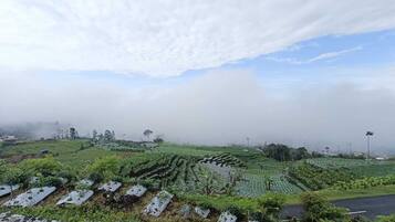 Vista desde la propiedad